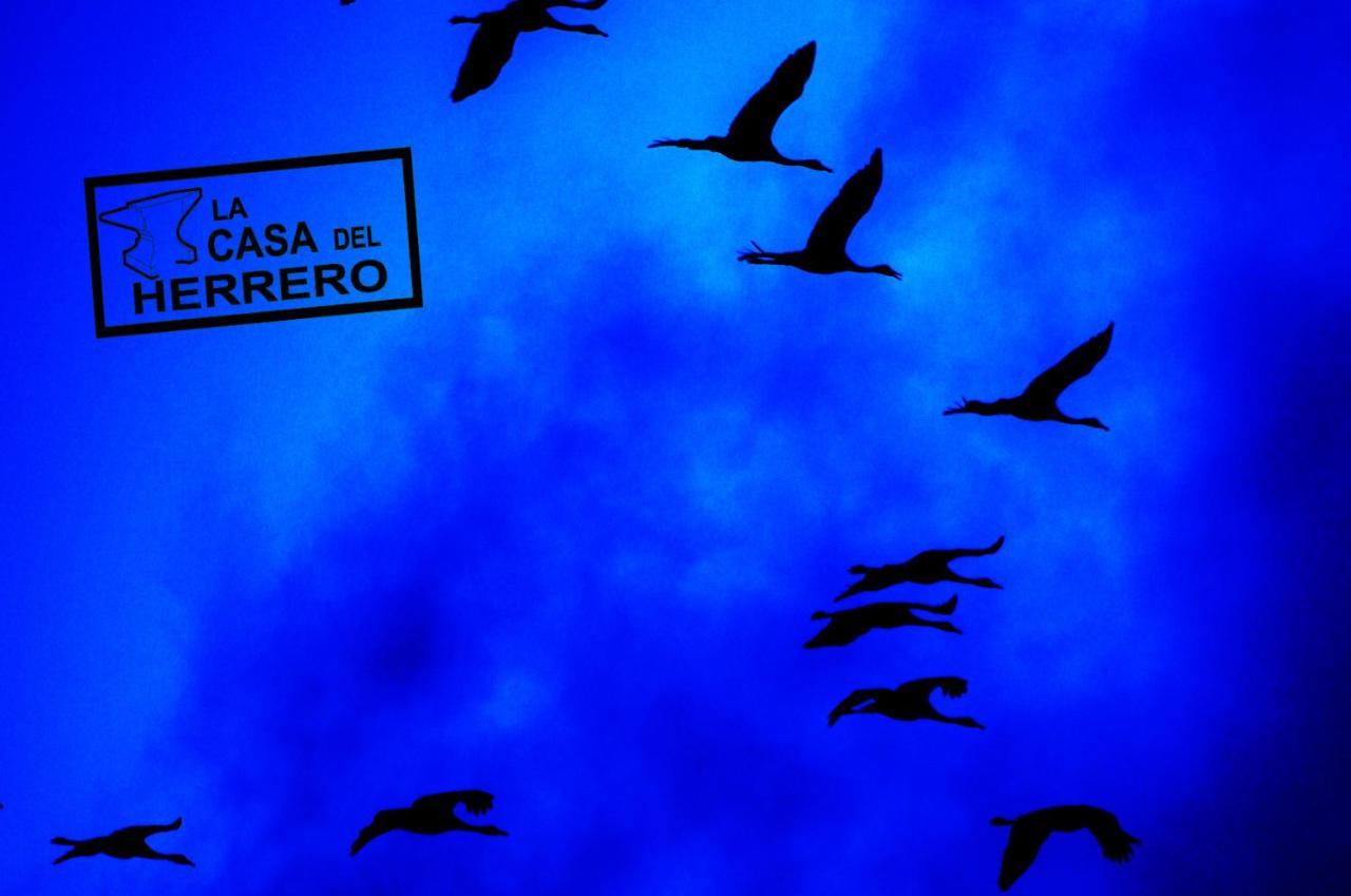 La Casa Del Herrero El Poyo エクステリア 写真